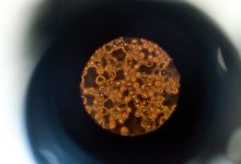 brown and black round beads