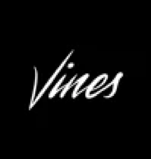 Picture of 바인스