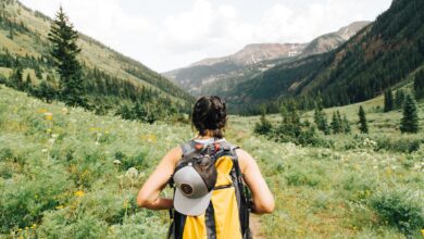 person carrying yellow and black backpack walking between green plants