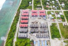 houses near green leafed trees during daytime