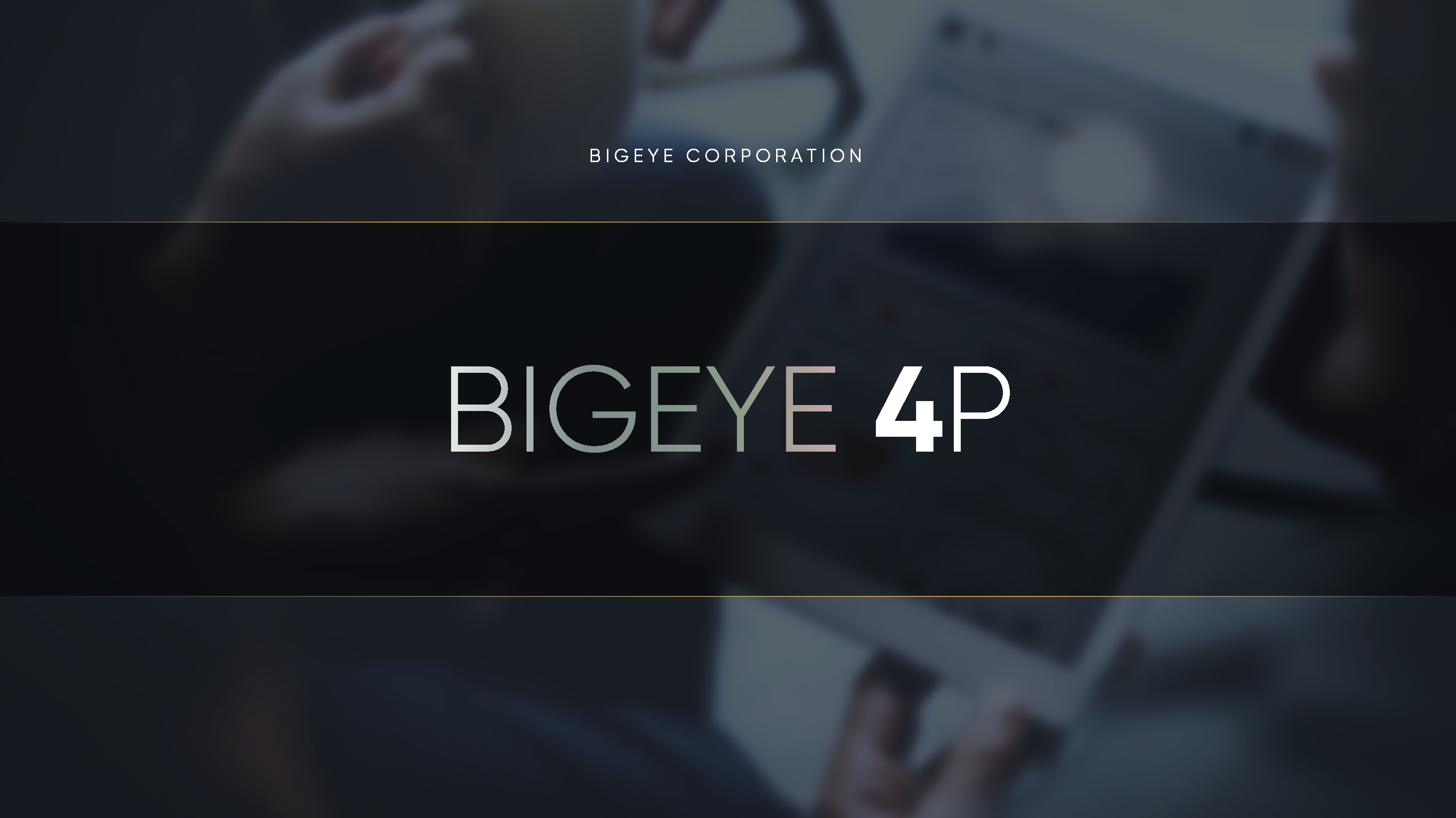bigeye_corp_페이지_05