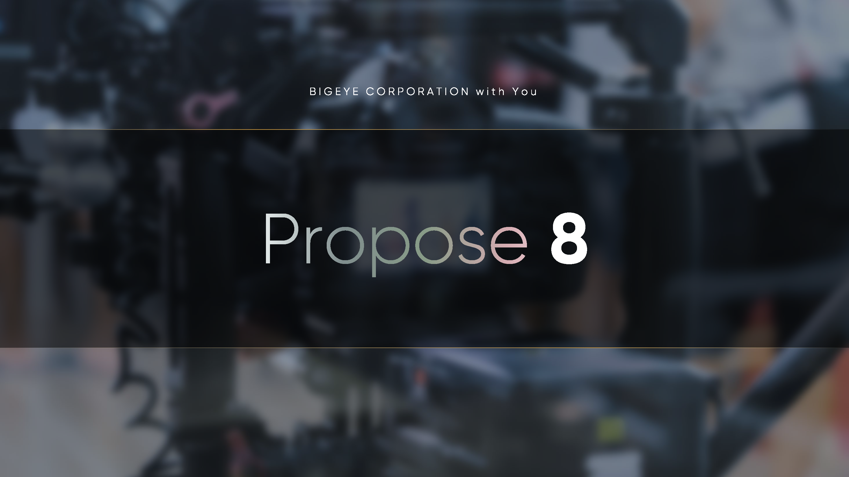 bigeye_corp_페이지_11