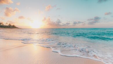 seashore during golden hour