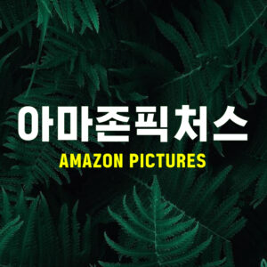 Picture of 아마존픽처스