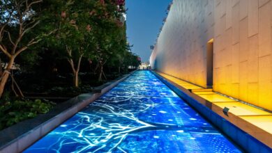 blue swimming pool near green trees during daytime