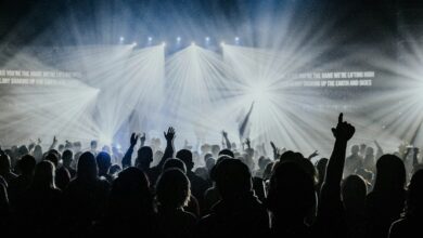 group of people watching concert