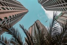 worm's view of commercial buildings and airplane