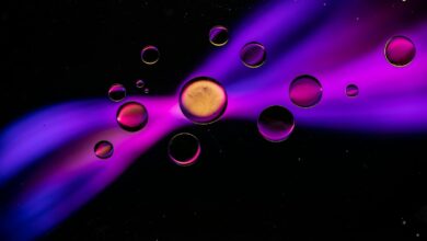 a group of bubbles floating in the air