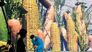 444765550_772284908304844_695175929782046945_n