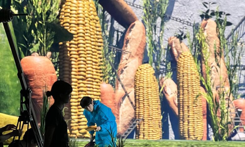 444765550_772284908304844_695175929782046945_n