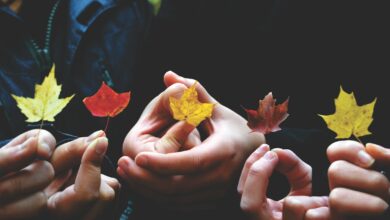 person's holding leaves during daytime