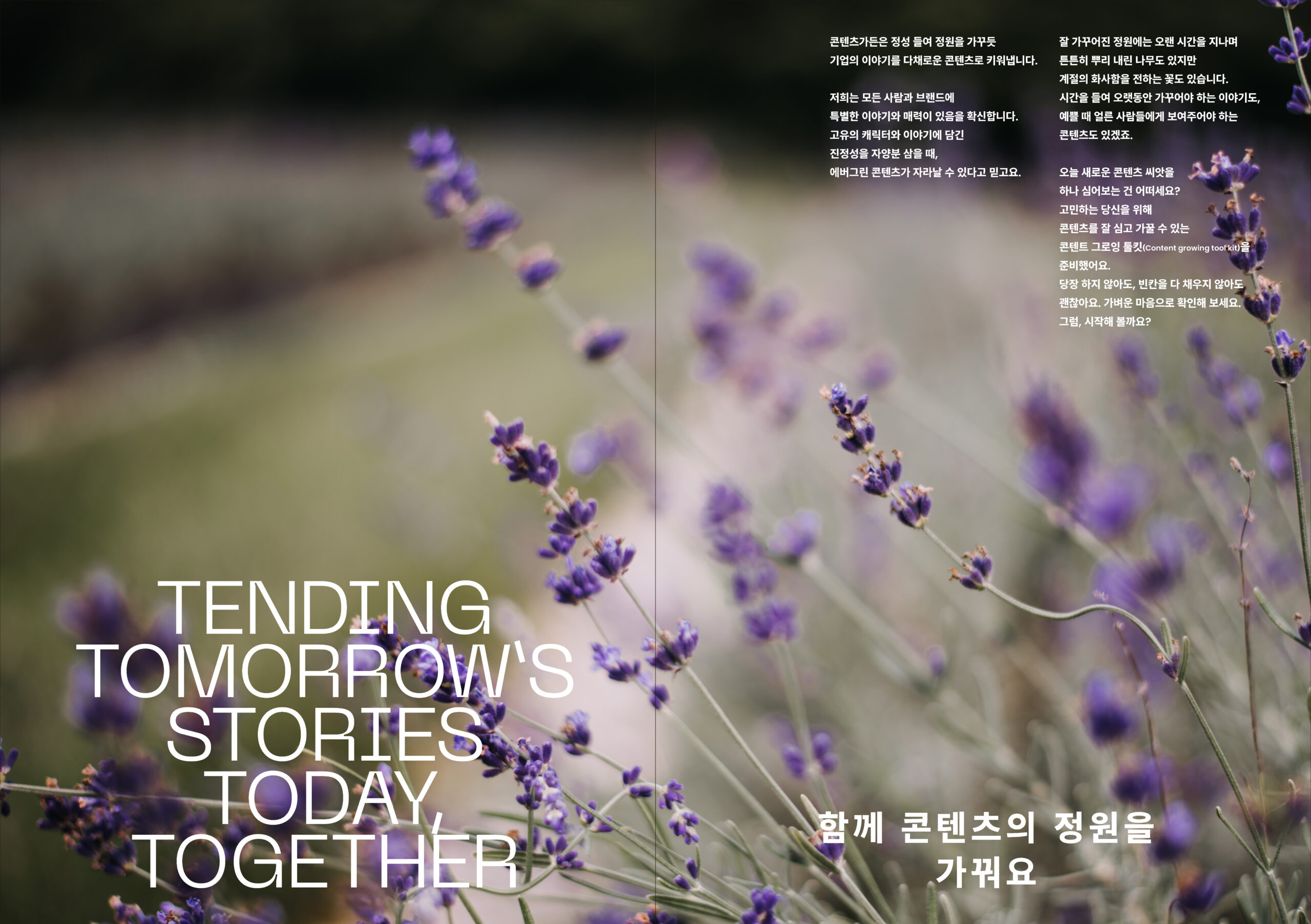 250205-CG_페이지_04