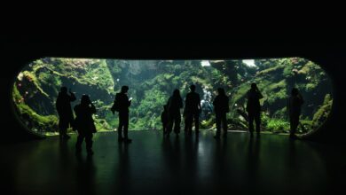 A group of people standing in a dark tunnel
