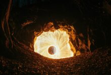 A large white object in the middle of a forest