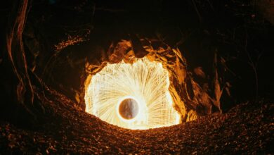 A large white object in the middle of a forest