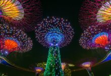 Gardens by the bay, Singapore