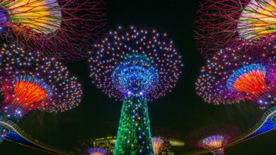 Gardens by the bay, Singapore