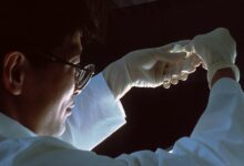 person in brown long sleeve shirt wearing silver framed eyeglasses