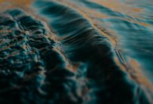 blue and white water wave