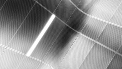 A black and white photo of a ceiling