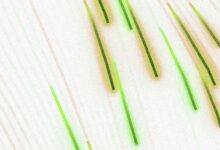 Green and gold streaks on white background