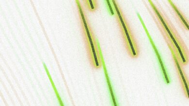 Green and gold streaks on white background