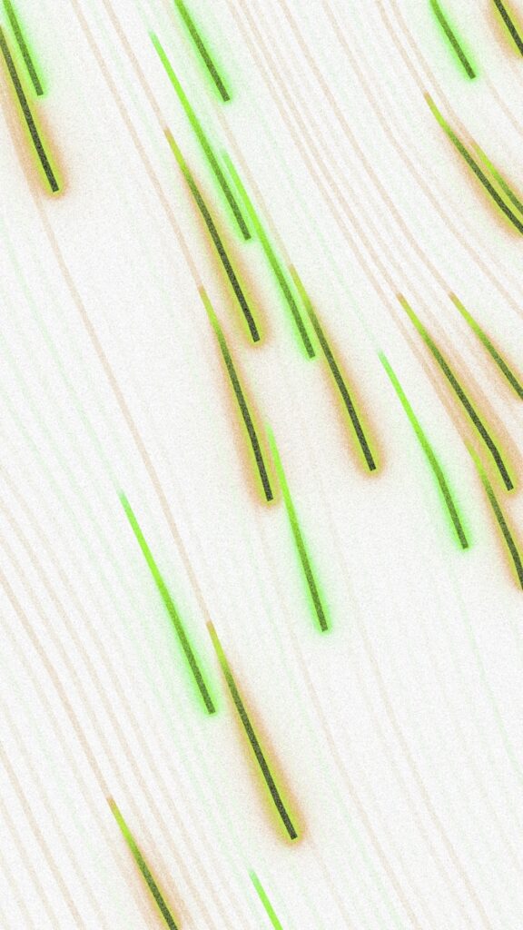 Green and gold streaks on white background